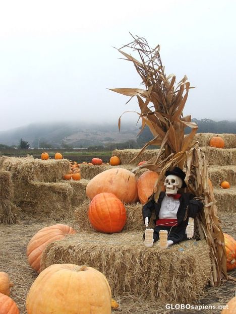Spooky