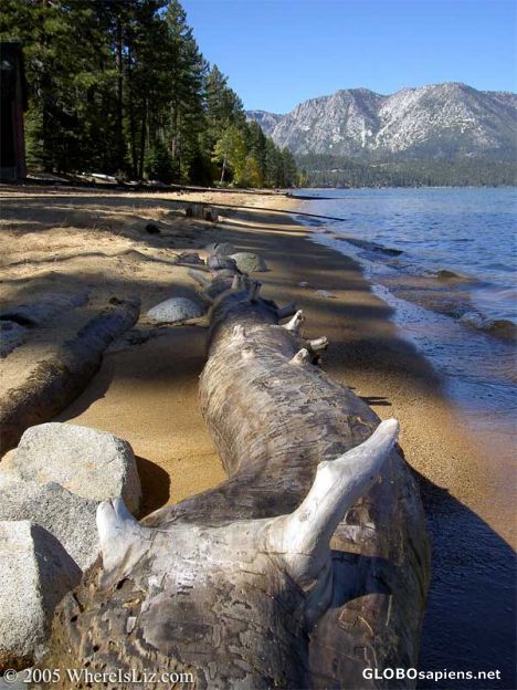 Postcard Deserted beach, Lake Tahoe