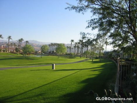 Postcard Typical Palm Springs Backyard