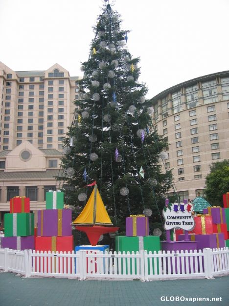 Postcard Christmas in the Park - Christmas Tree Day
