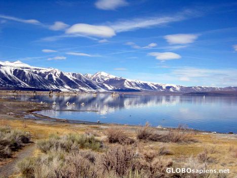 Postcard Mono lake in winter