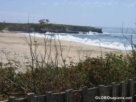 Postcard Wilder Ranch Beach View