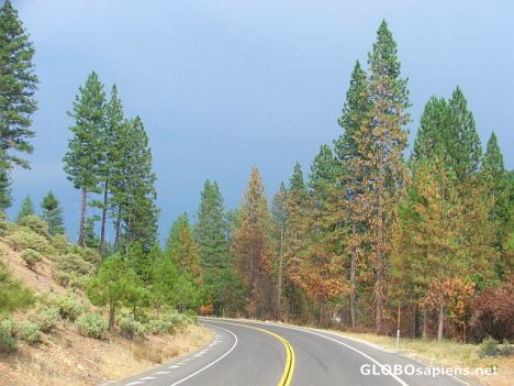 Postcard Road to Yosemite 1