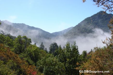 Postcard Fog lifts between Mountains