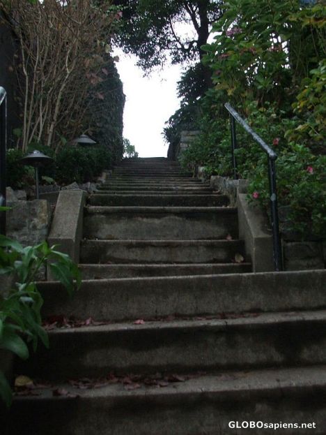 Postcard Steps up