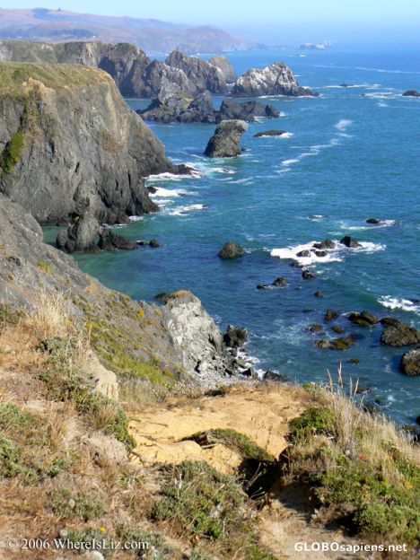 Postcard No. California Coastline Majesty