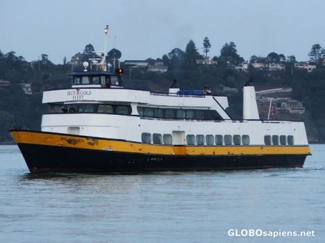 Postcard Blue and Gold Fleet