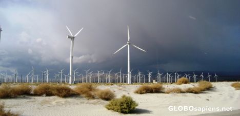 Postcard Windmills powered off the Santa Anna winds