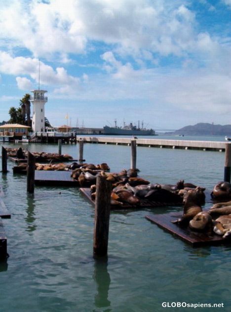 Postcard Pier 39
