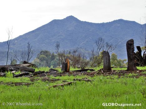 After the fire, San Rafael