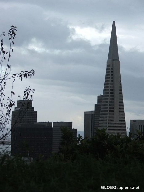Postcard Transamerican