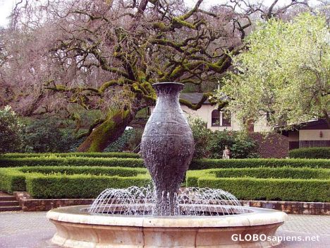 Postcard Pitcher in the fountain