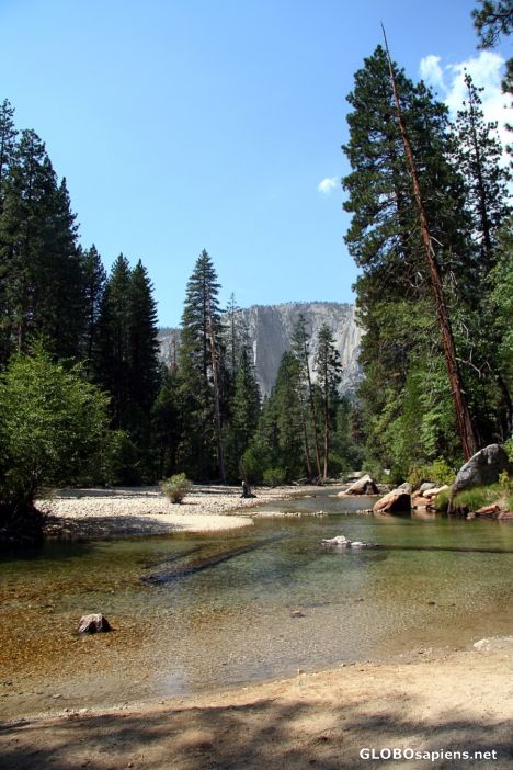 Postcard Yosemite Park