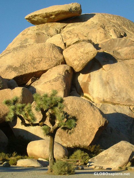 Postcard Cap Rock in the evening sun