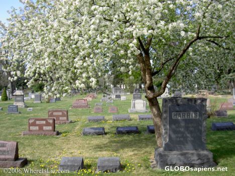 Postcard Cemetary Spring, Fort Collins, Colorado