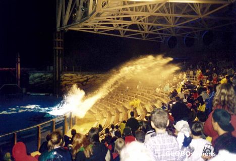 Postcard Seaworld Afterplash