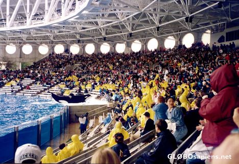 Postcard Seaworld Splash Prep