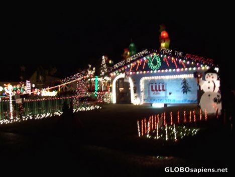 Postcard More Florida Christmas lights