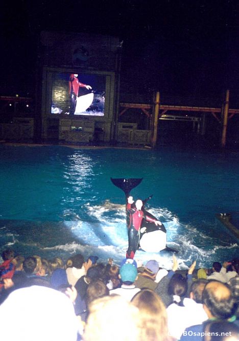 Postcard Waterworld at Night