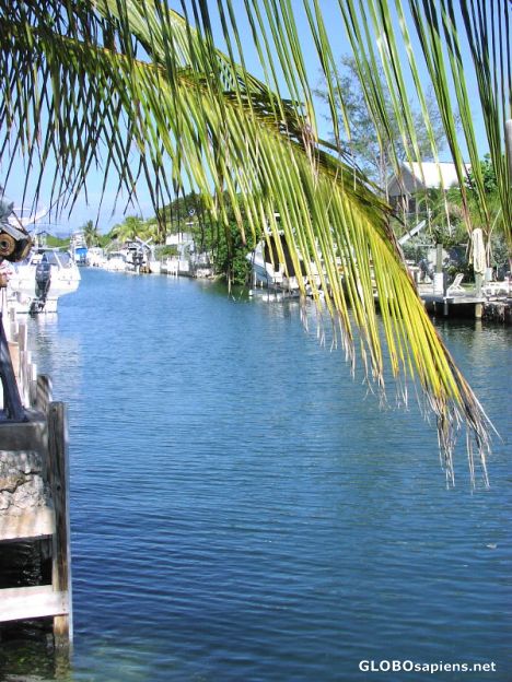 Postcard Waterway in Plantation Key