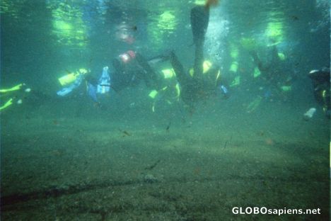 Postcard Divers 