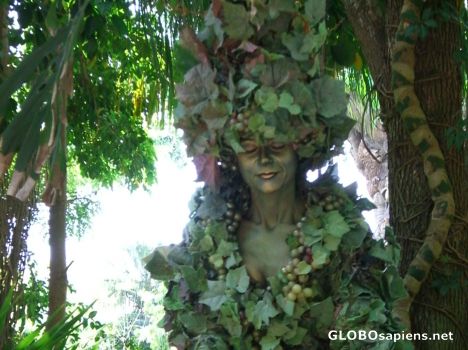 Postcard Human tree