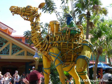 Postcard Colourful parade at the animal kingdom