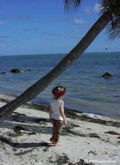 an Islamorada beach