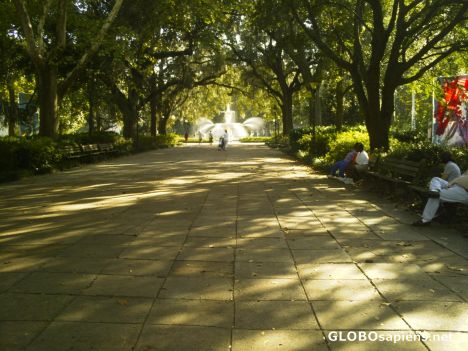 Postcard Forsyth Park, Savannah, GA, USA