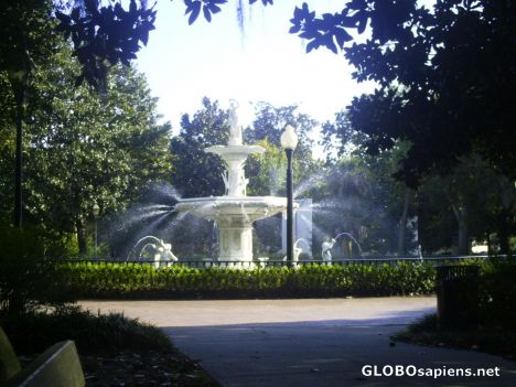 Postcard Forsyth Park, Savannah, GA, USA