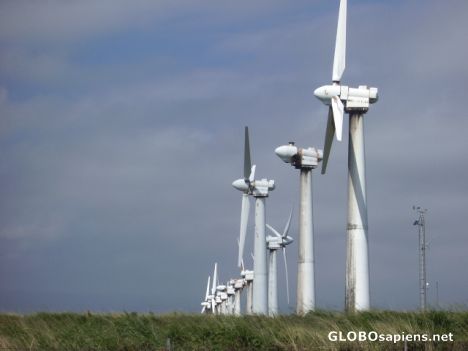 Postcard Harnessing the wind