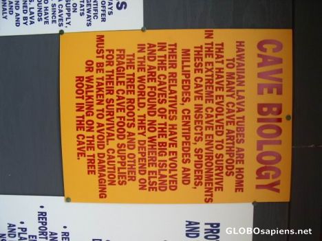 Postcard Cave Warning Sign near roadside caves in HOVE