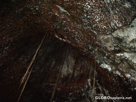 Postcard Inside a Lava Tube -this is where creepy things R