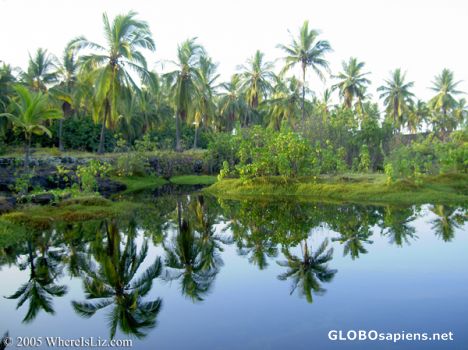 Postcard Royal Fish Pool, Place of Refuge, Hawaii