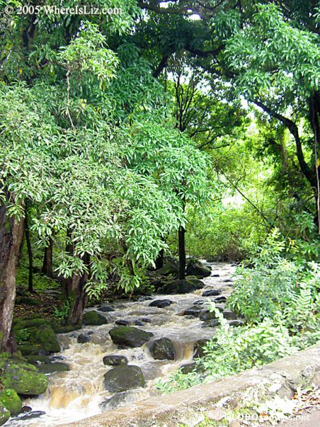 Postcard Island Stream, Hawaii