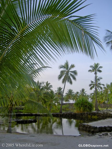 Postcard Tropical Morning, Place of Refuge, Hawaii