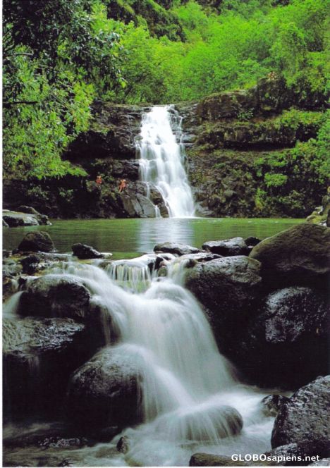 Postcard HAWAII