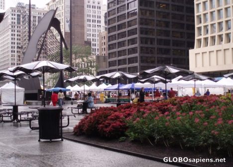 Postcard Daley Plaza
