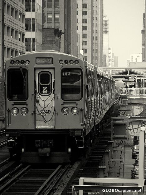Postcard The l