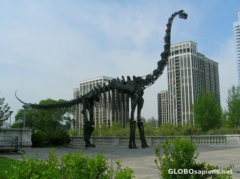 Postcard Dinosaur