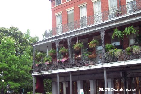 Postcard french quarter architecture