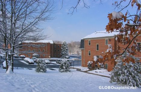 Postcard Snow day