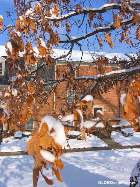Postcard Autumn passed and Winter comes