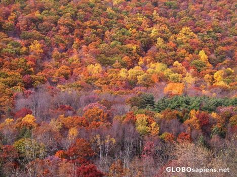 Postcard Indian summer on the Berkshires hills...