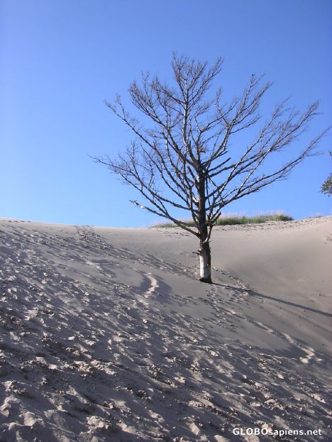 Postcard Lake Michigan