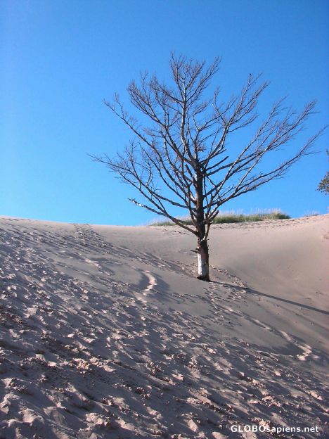 Postcard Lake Michigan
