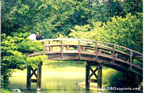 Postcard Japanese Bridge