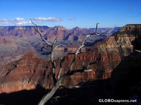Postcard COLORADO - GRAND CANYON