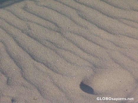 Postcard the sand