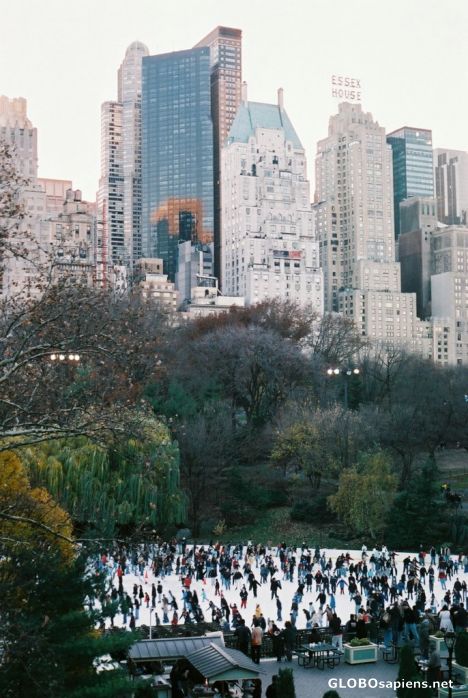Postcard Central Park